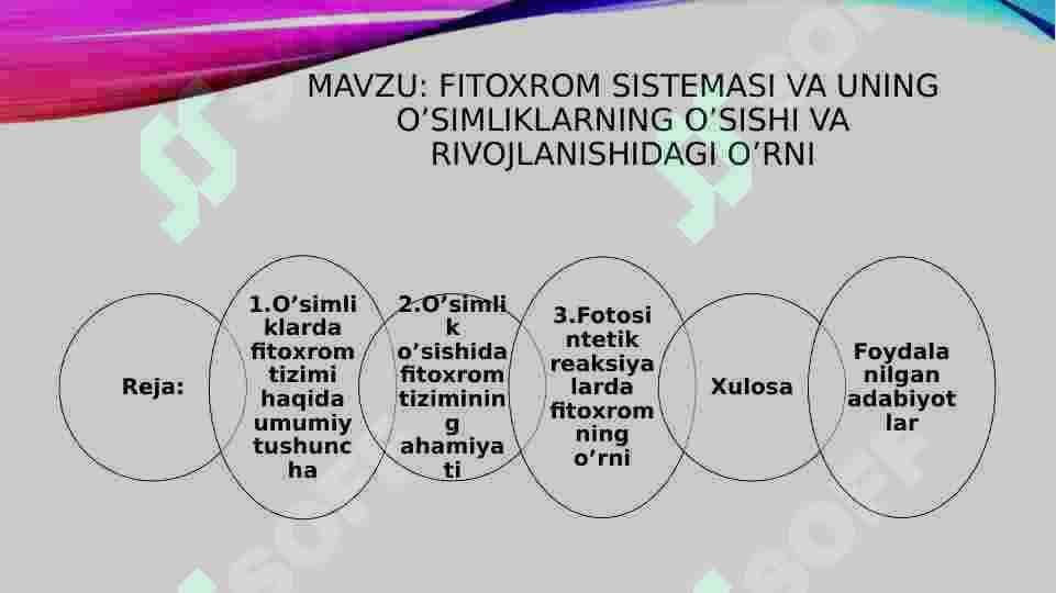 Fitoxrom sistemasi va uning o’simliklarning o’sishi va rivojlanishidagi o’rni 2