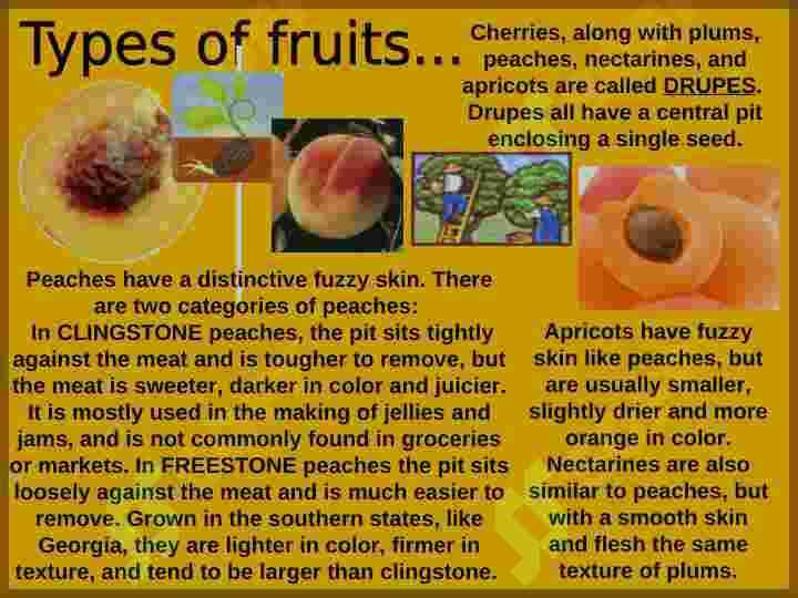 Fruits and vegetables. 8