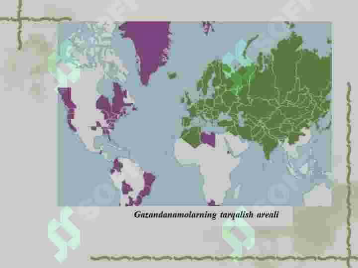 Gazandanamolar qabilasi 4