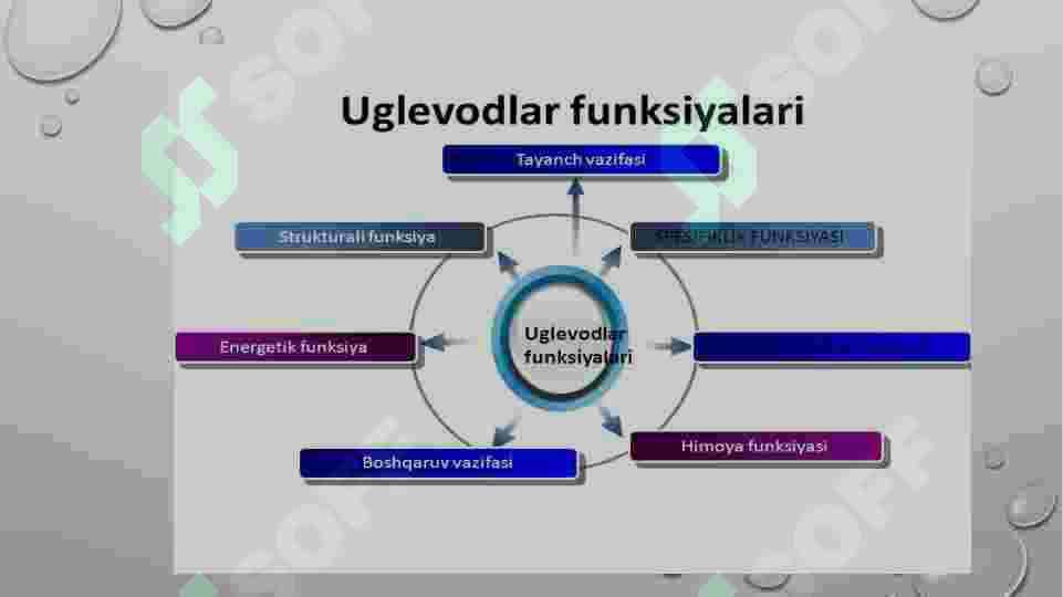 Glikogen kasalliklari 4