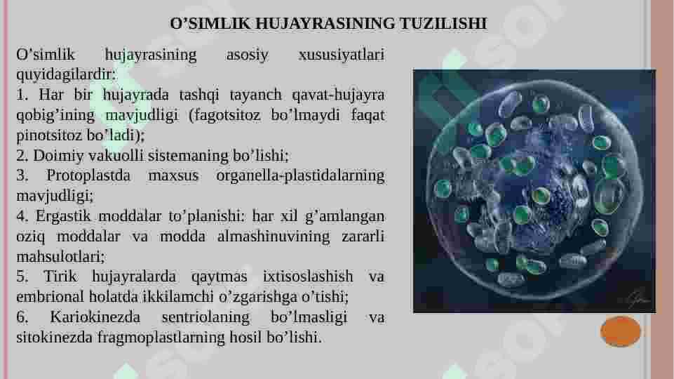 O’simlik hujayrasining tuzilishi 5