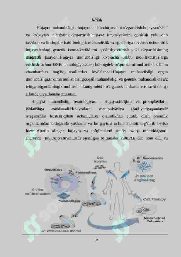 Hujayra muhandisligidagi texnologik jarayonlar 2