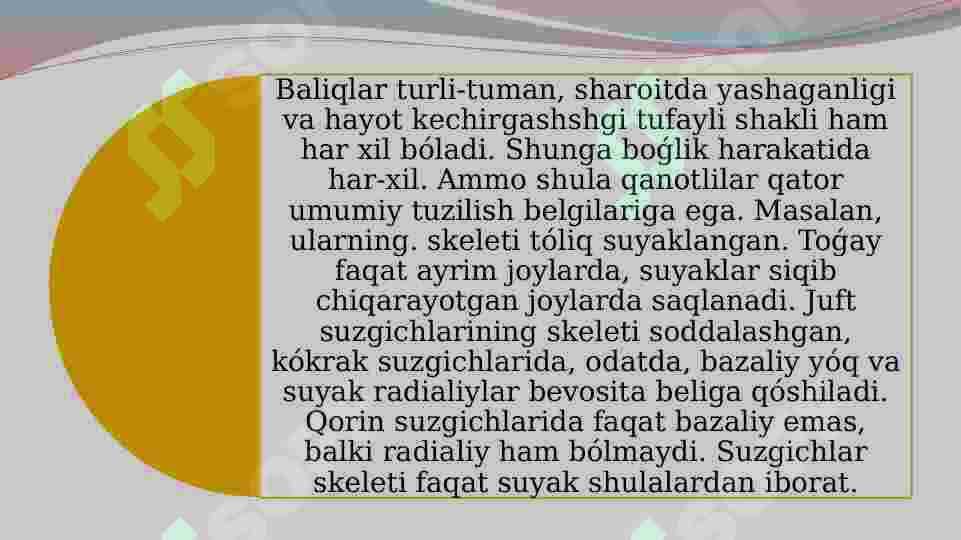 O’TKINCHI, YARIM O’TKINCHI ,CHUCHUK SUV, DENGIZ BALIQLARINING TIRIKCHILIGIDAGI O’ZIGA XOSLIKLAR 2