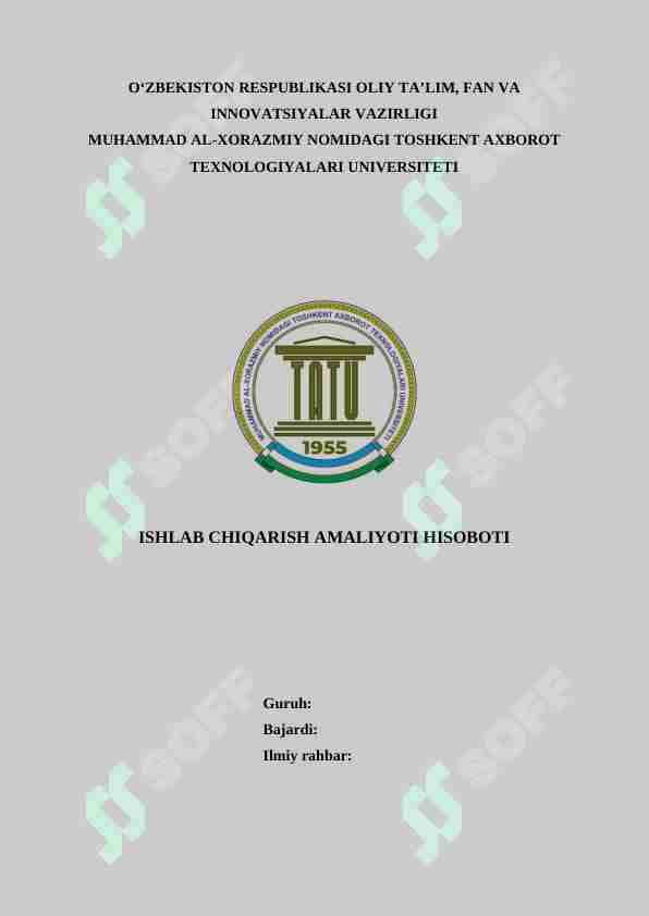 Soliq inspeksiyasi amaliyot hisobot