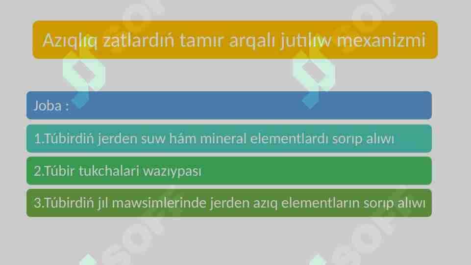 Azıqlıq zatlardıń tamır arqalı jutılıw mexanizmi