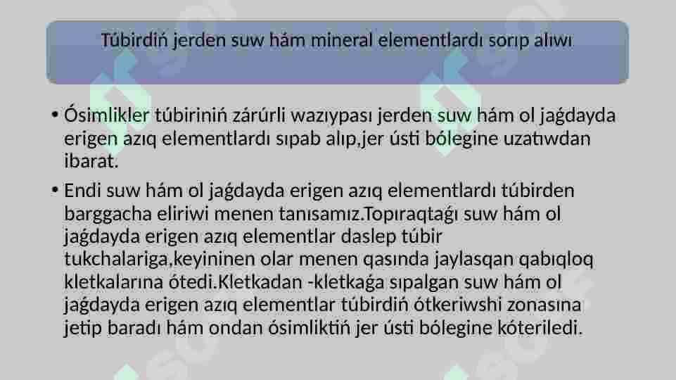 Azıqlıq zatlardıń tamır arqalı jutılıw mexanizmi 2