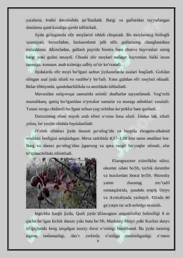 Jiydadoshlar oilasi 8