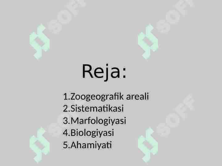Kaklik 3