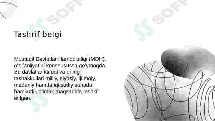 Mustaqil Davlatlar Hamdo'stligi (MDH) Tuzilishi va Uning Faoliyati 3