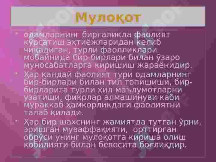 MULOQOT 6