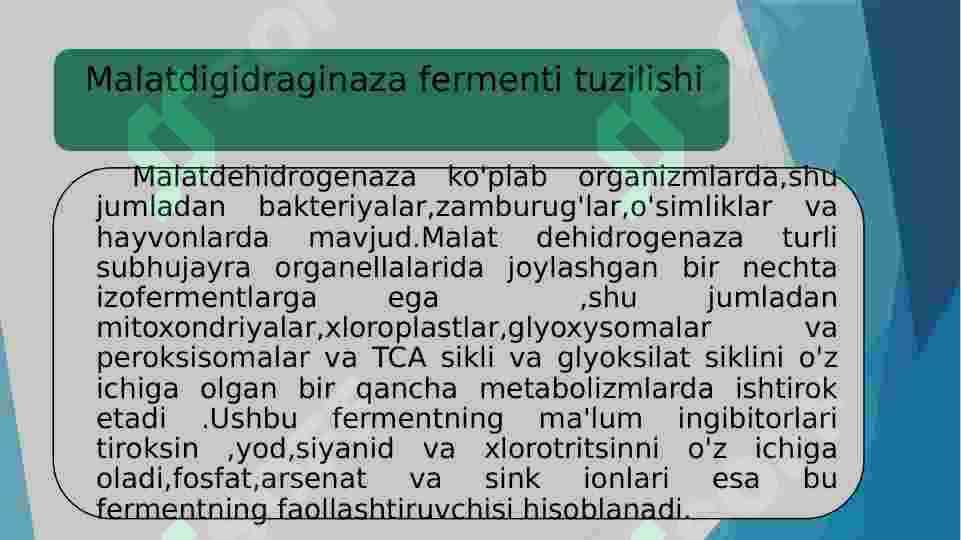 Malatdigidraginaza fermenti haqida 2
