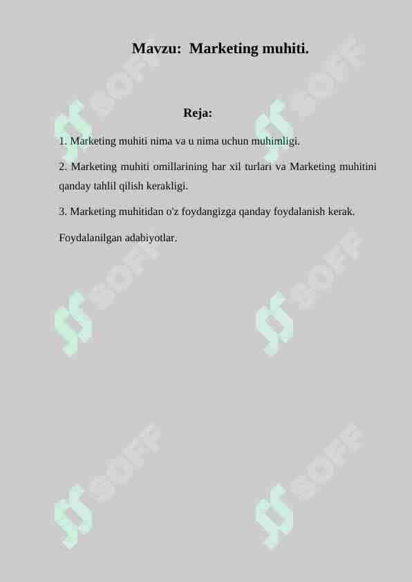 Marketing muhiti