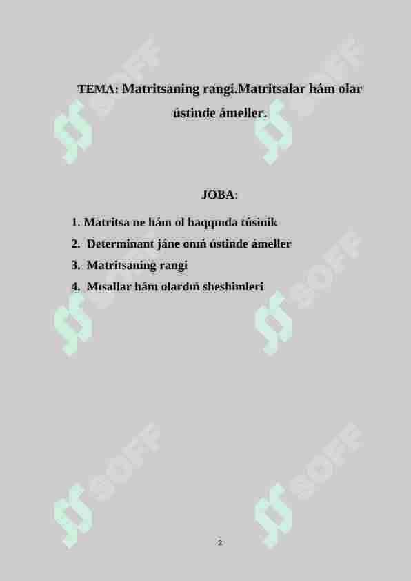 Matritsaning rangi.Matritsalar hám olar ústinde ámeller 2