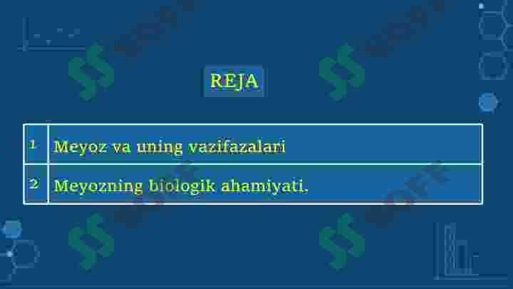 Meyozning biologik ahamiyati 2