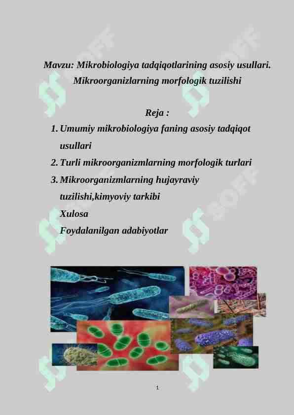 Mikrobiologiya tadqiqotlarining asosiy usullari. Mikroorganizlarning morfologik tuzilishi
