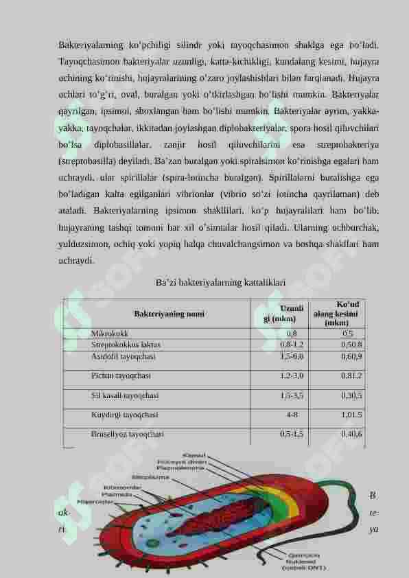 Mikrobiologiya tadqiqotlarining asosiy usullari. Mikroorganizlarning morfologik tuzilishi 7