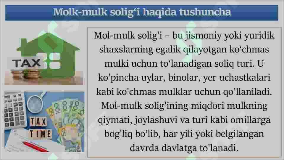 Mol-mulk solig‘i 3