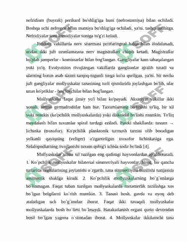 Mollyuskalar sistematikasi va kelib chiqishi 5