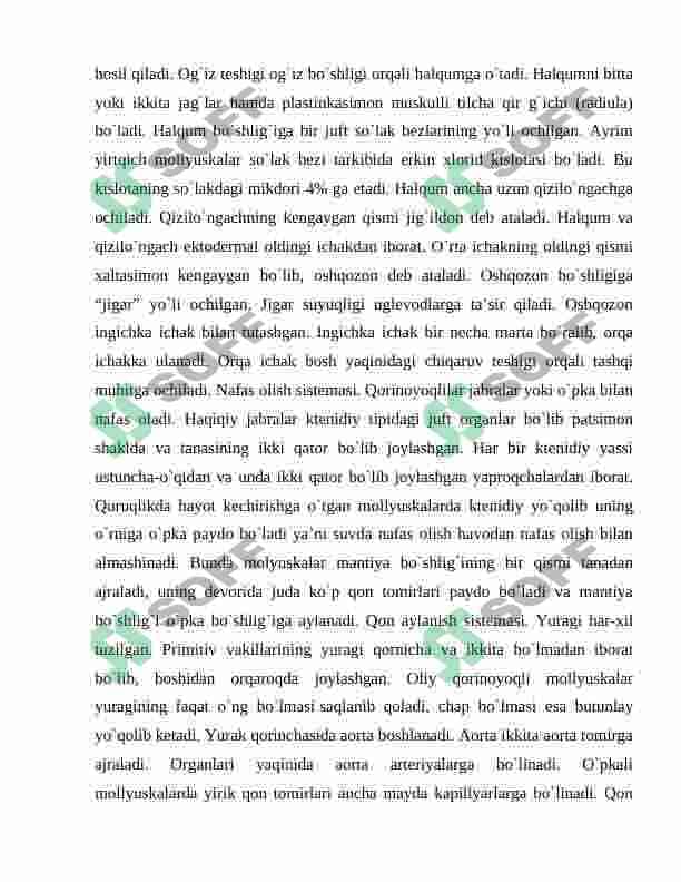 Mollyuskalar sistematikasi va kelib chiqishi 8