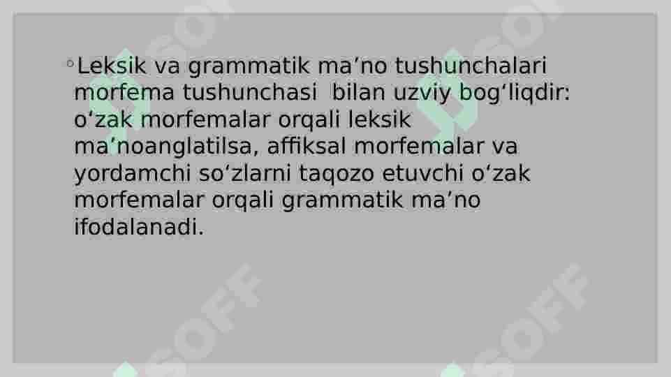 Morfemika 7