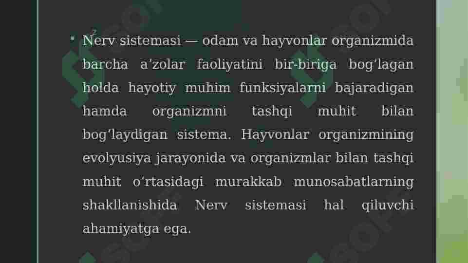 Nerv tizimi 2