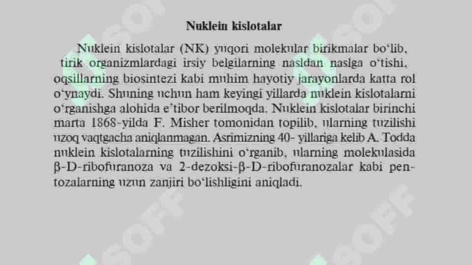 Nuklein kislotalar 2