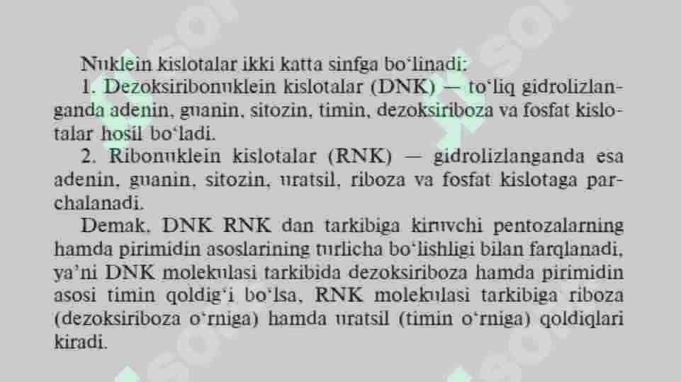 Nuklein kislotalar 7