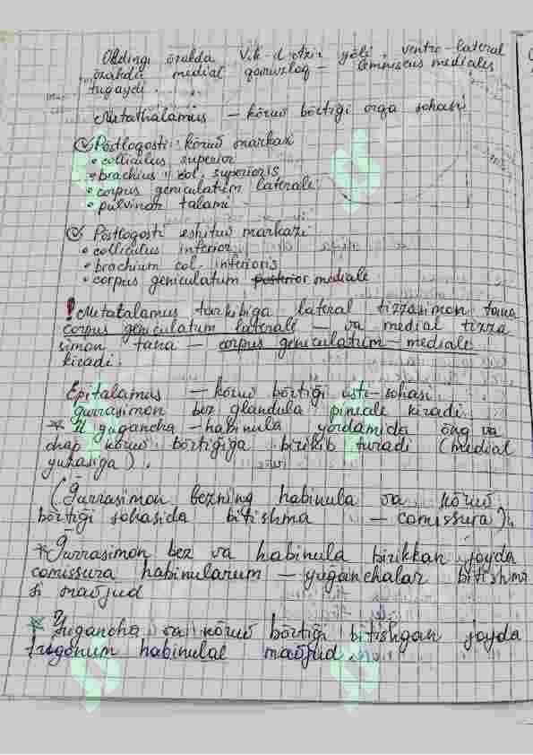 Amaliy mashgʻulot Anatomiya Handwritten 3