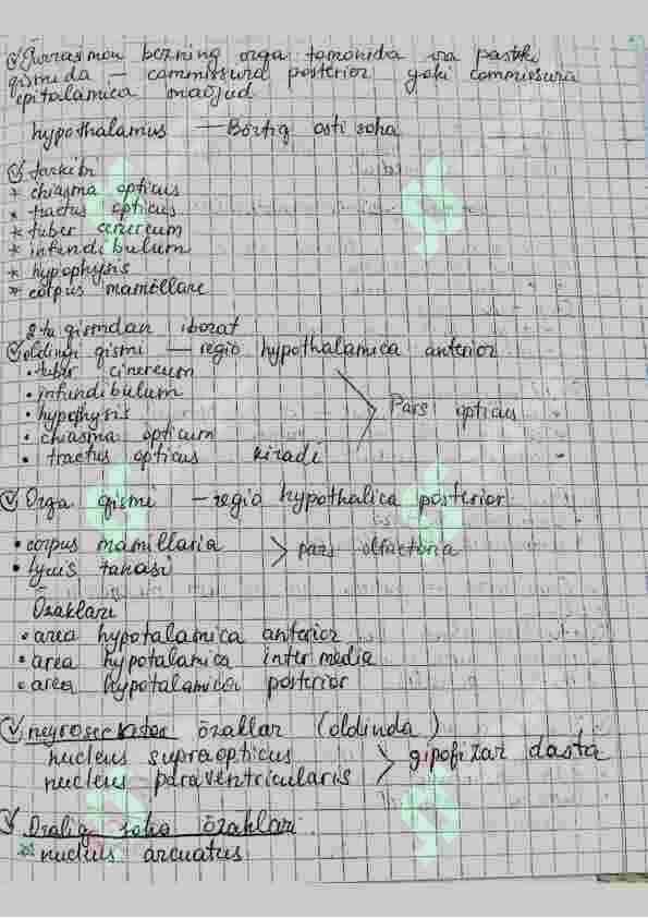Amaliy mashgʻulot Anatomiya Handwritten 4