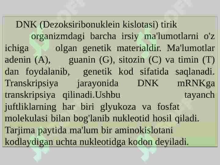 Hisoblashning ochiq ramkasini izlash. ORF finder dasturida ishlash 2