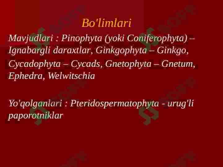 Ochiq urug’lilar bo’limi 4