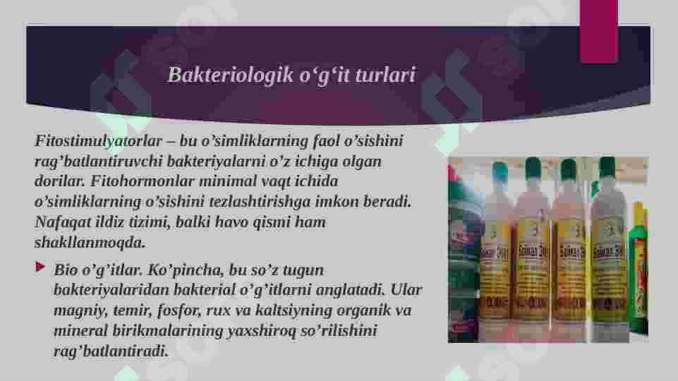 Bakteriologik oʻgʻitlar va ularning qoʻllanilishi 3