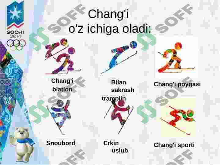 Olimpiya qishki sport turlari 3