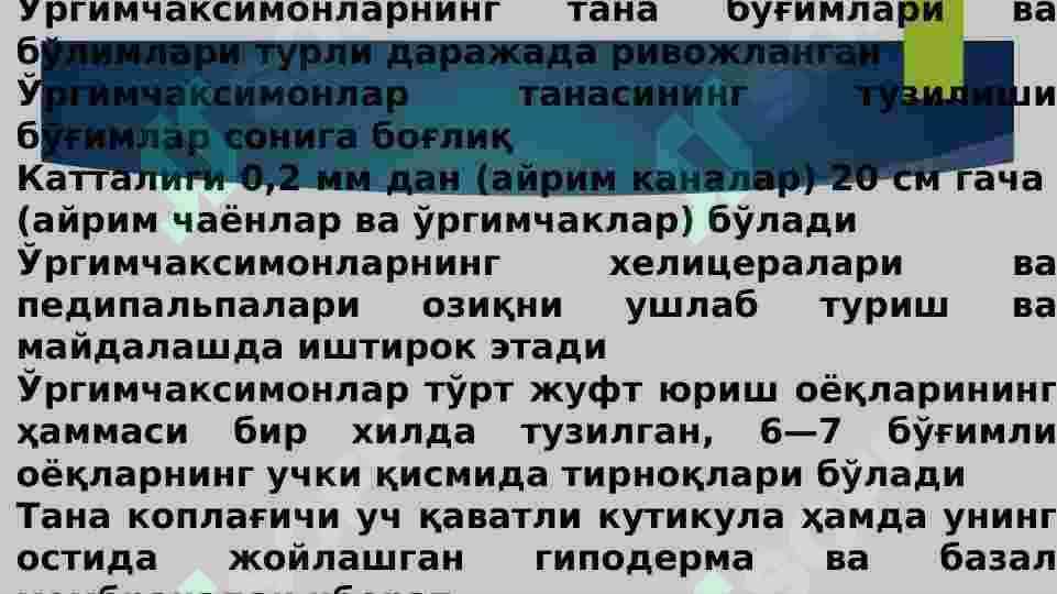O‘rgimchaksimonlar 3