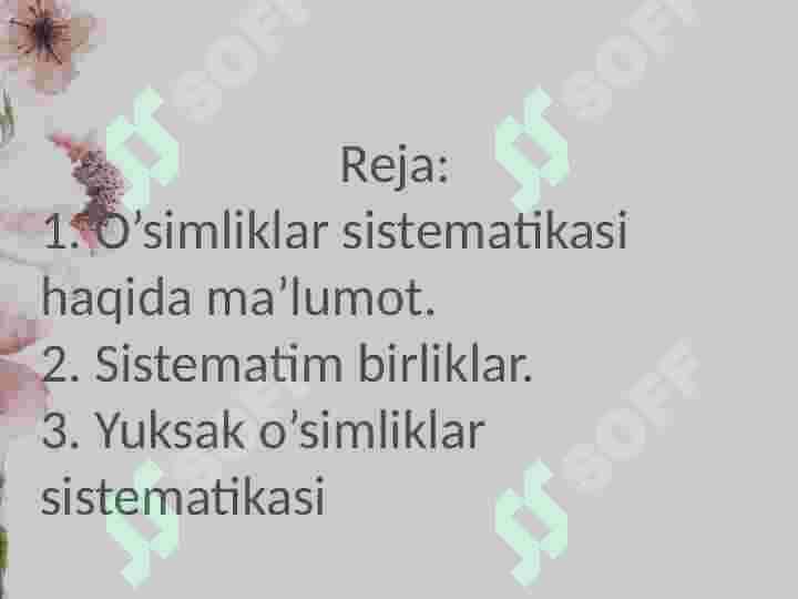O’simliklar sistematikasi 2