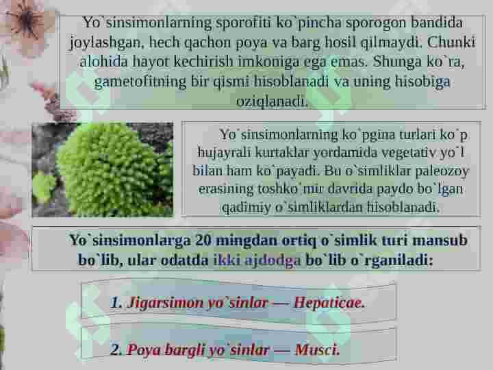 O’simliklar sistematikasi 8