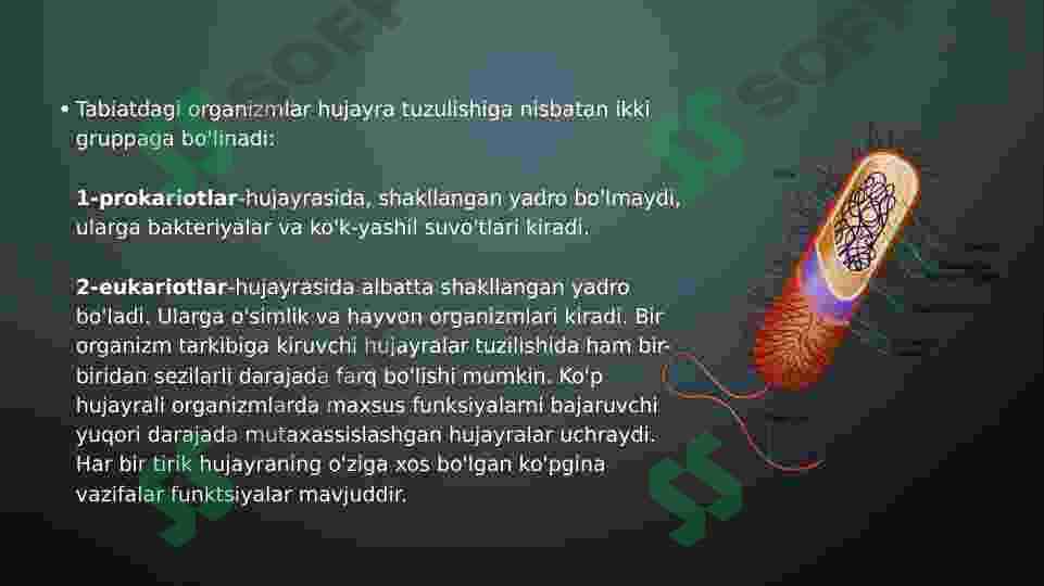 Oʻsimliklarning hujayralari va toʻqimalari 3