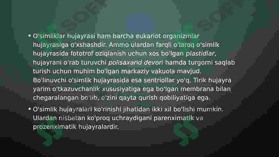 Oʻsimliklarning hujayralari va toʻqimalari 4