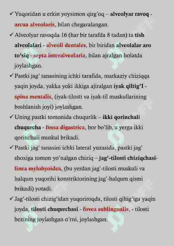 PASTKI JAG' ANATOMIYASI 3
