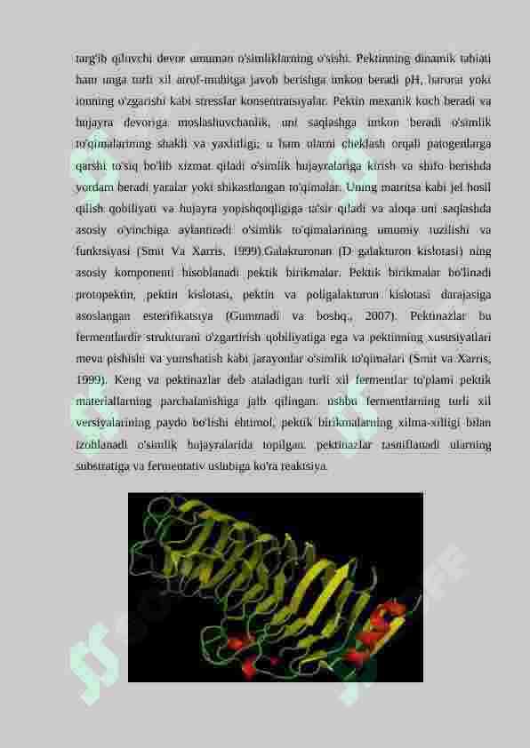 Pektinaza fermenti 4