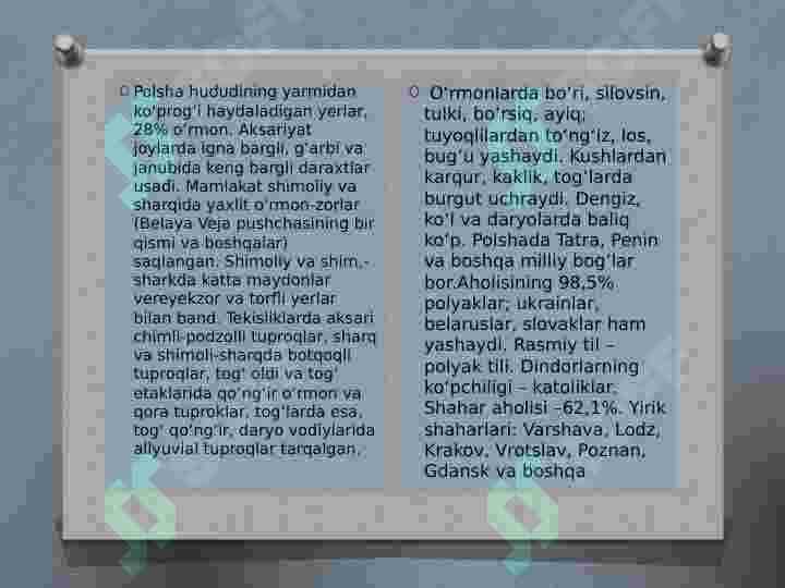 Polsha  davlati  haqida 4