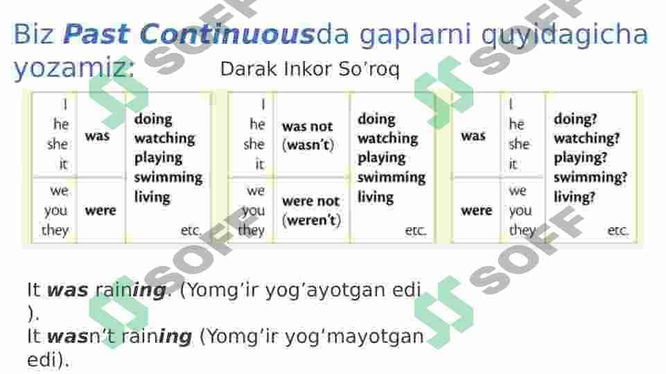 Past continuous tense 4