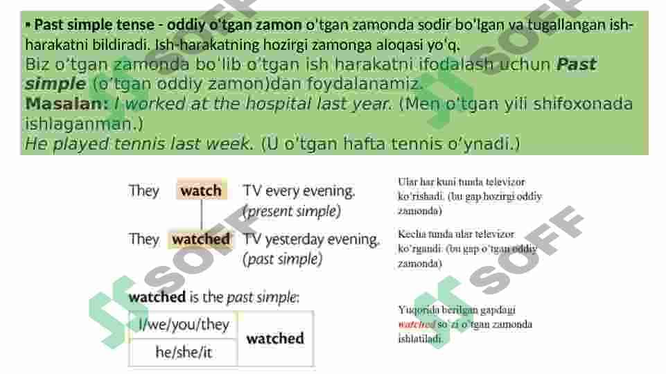 Past simple tense 2