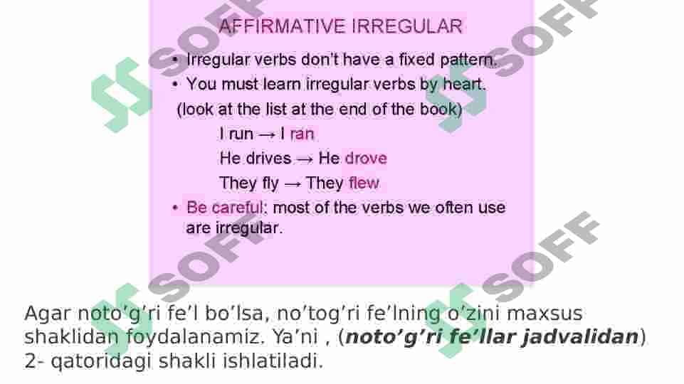 Past simple tense 6