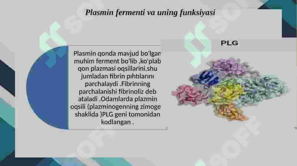 Plazmin fermenti 2