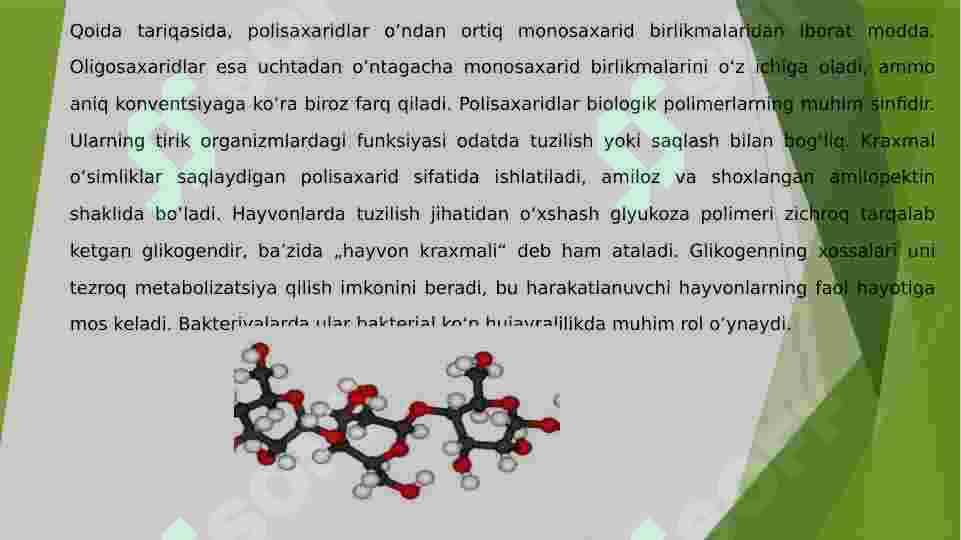 Polisaharid 6