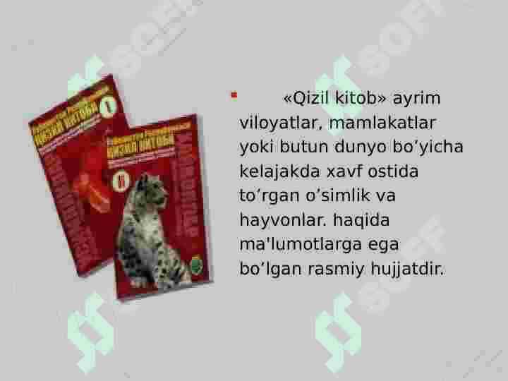 O’zbekiston “Qizil kitob”iga kiritilgan hayvonlar 4