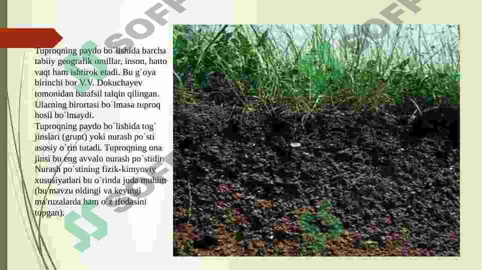 Tuproq hosil qiluvchi jinslar va omillar 4