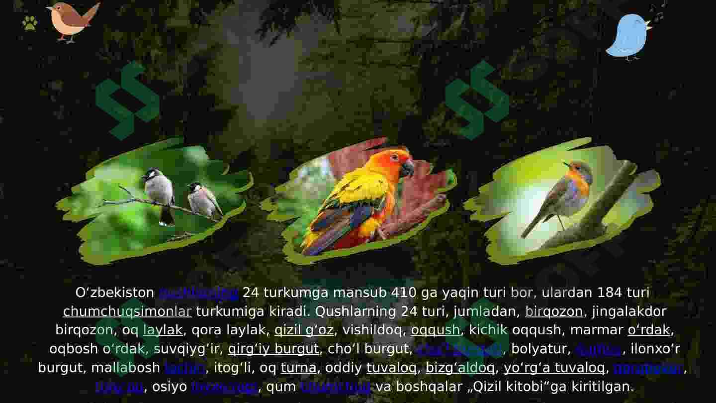 O'zbekiston hayvonot olami va "Qizil kitob"ga kiritilgan hayvonlar 3