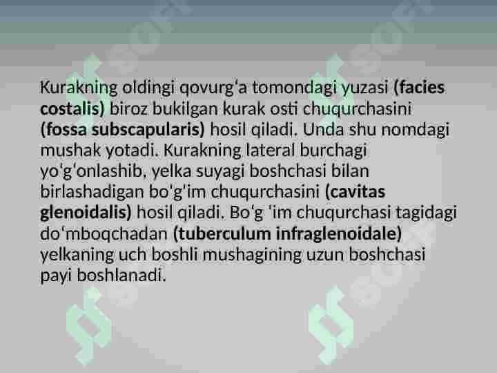 Qo'l suyaklari 8